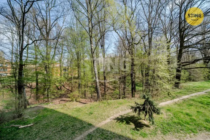 Prodej bytu 3+1, Ostrava, Lumírova, 67 m2