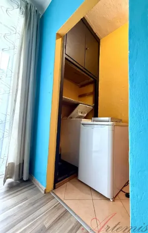 Pronájem bytu 1+kk, Ostrava - Poruba, Opavská, 25 m2