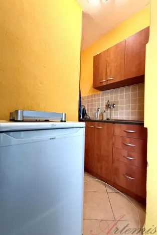 Pronájem bytu 1+kk, Ostrava - Poruba, Opavská, 25 m2