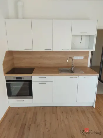 Prodej bytu 1+kk, Plzeň - Jižní Předměstí, Železná, 41 m2