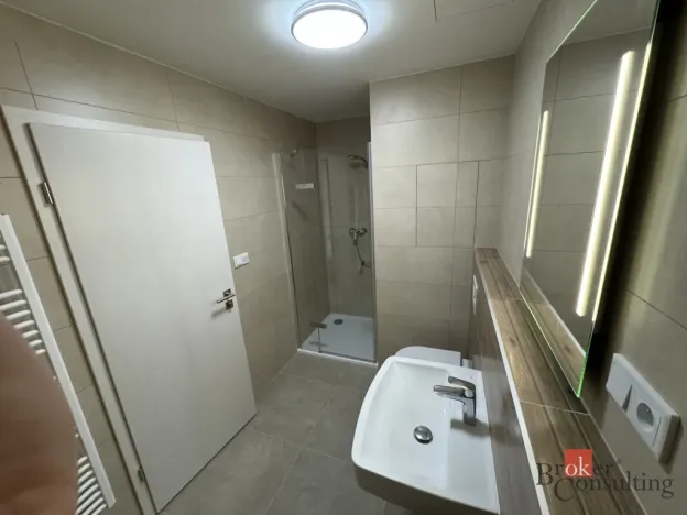 Prodej bytu 1+kk, Plzeň - Jižní Předměstí, Železná, 41 m2