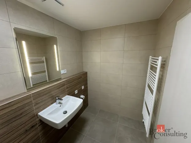Prodej bytu 1+kk, Plzeň - Jižní Předměstí, Železná, 41 m2