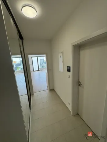 Prodej bytu 1+kk, Plzeň - Jižní Předměstí, Železná, 41 m2