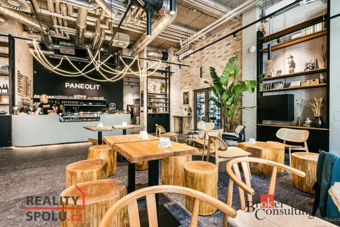 Pronájem bytu 1+kk, Brno - Zábrdovice, Bratislavská, 29 m2
