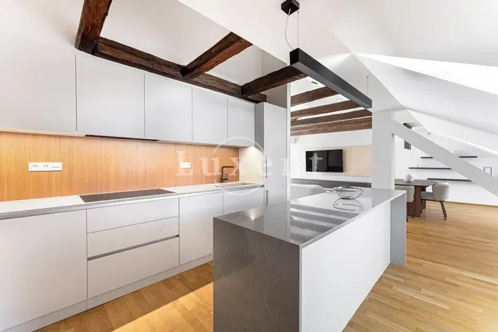Pronájem bytu 4+kk, Praha - Malá Strana, Vítězná, 213 m2