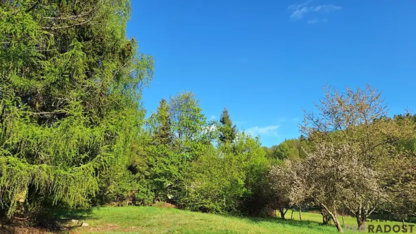 Prodej rodinného domu, Borovnička, 95 m2