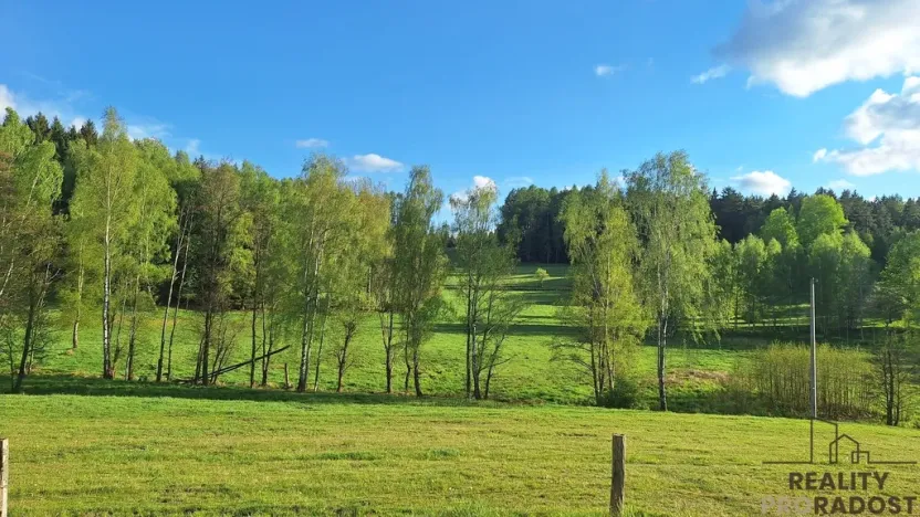 Prodej rodinného domu, Borovnička, 95 m2