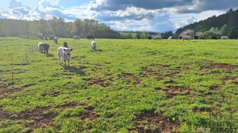 Prodej rodinného domu, Borovnička, 95 m2