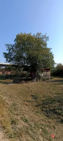 Prodej zahrady, Opava, 495 m2