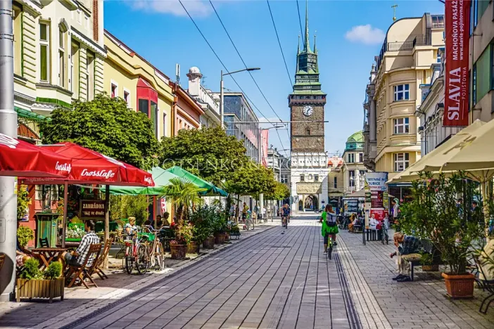 Prodej komerčního pozemku, Pardubice, Přerovská, 4073 m2