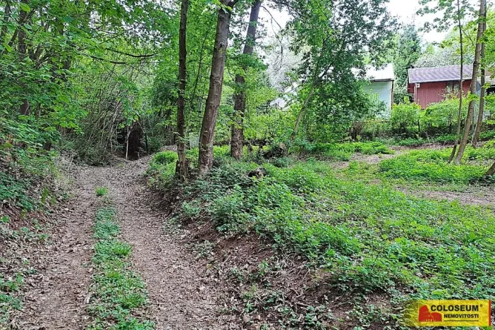 Prodej zahrady, Letovice, 1242 m2