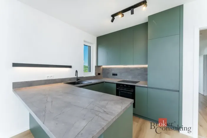 Pronájem bytu 3+kk, Praha - Hloubětín, Waltariho, 79 m2