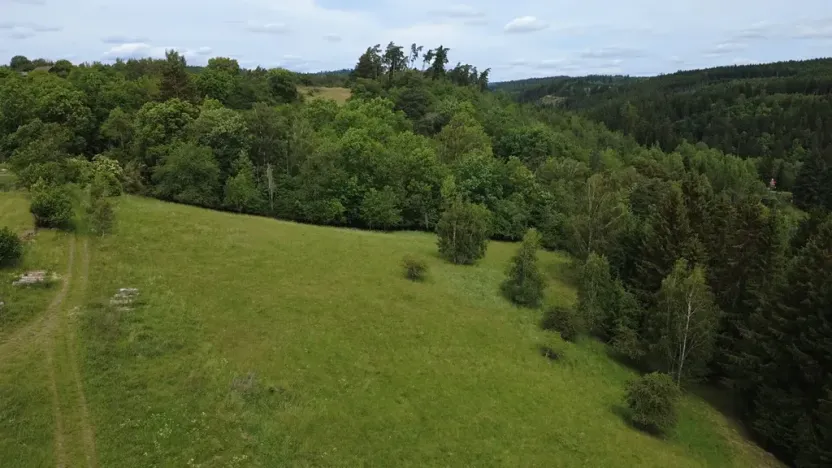 Prodej pozemku pro bydlení, Planá, 2215 m2