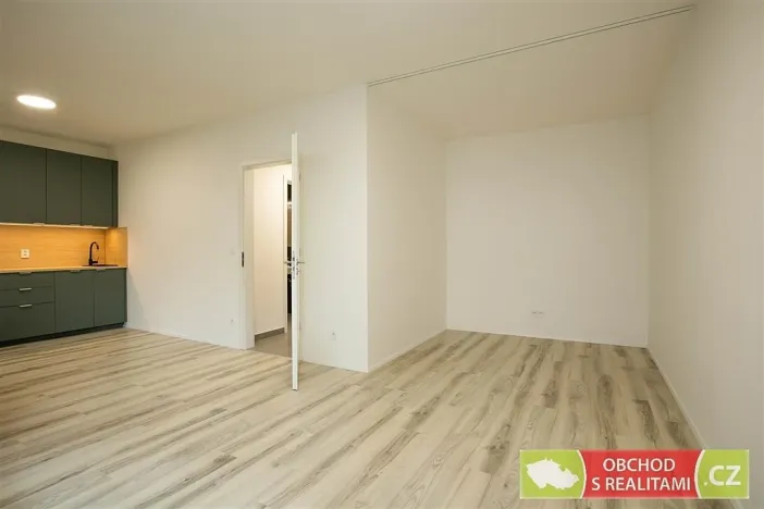 Pronájem bytu 1+kk, Praha, Štěchovická, 45 m2