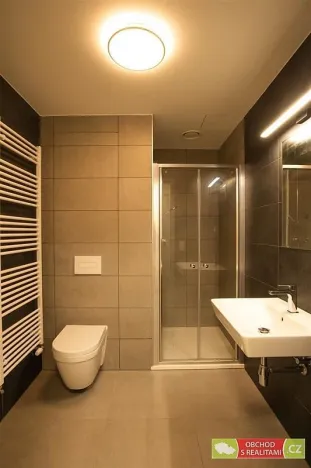 Pronájem bytu 1+kk, Praha, Štěchovická, 45 m2