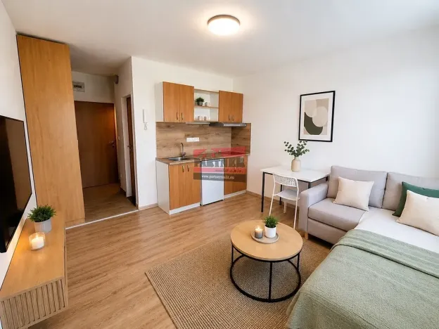 Prodej bytu 1+kk, Planá nad Lužnicí, Průmyslová, 19 m2