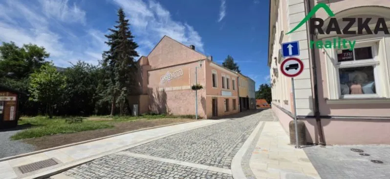 Prodej obchodního prostoru, Tachov, K Náměstí, 330 m2