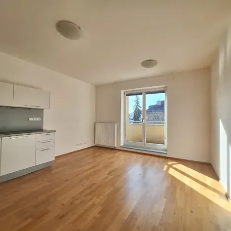 Pronájem bytu 1+1, Praha - Smíchov, Fráni Šrámka, 44 m2