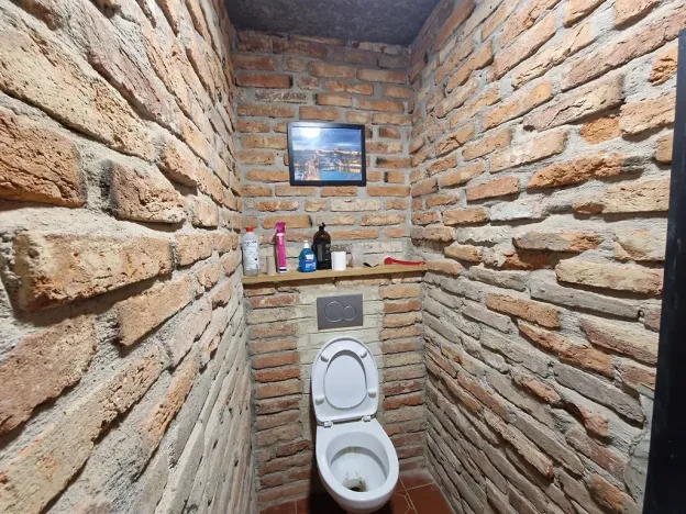 Prodej rodinného domu, Benátky nad Jizerou, Pod Remízkem, 250 m2