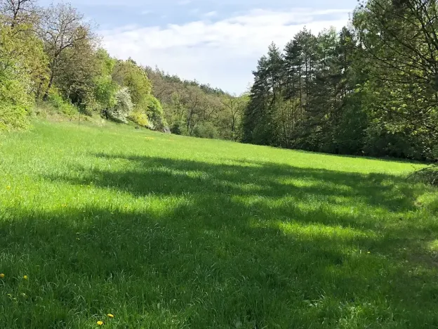 Prodej louky, Praha - Nebušice, U Gabrielky, 24023 m2