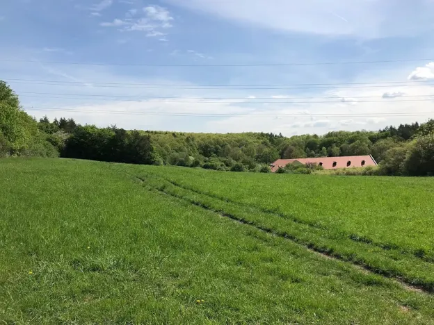 Prodej louky, Praha - Nebušice, U Gabrielky, 24023 m2