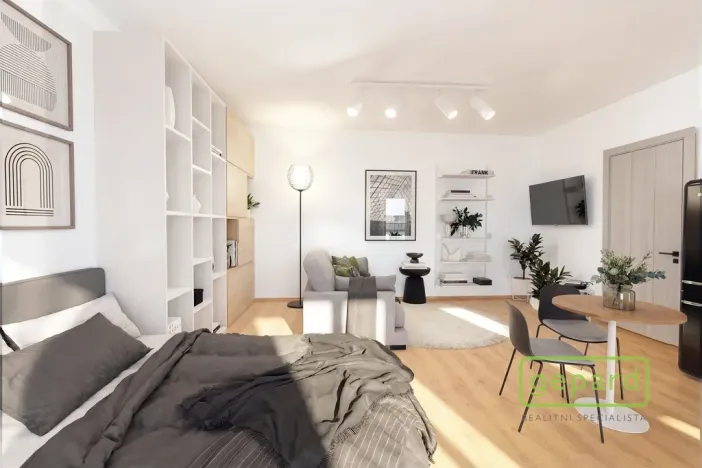 Pronájem bytu 1+kk, Příbram, Gen. R. Tesaříka, 39 m2