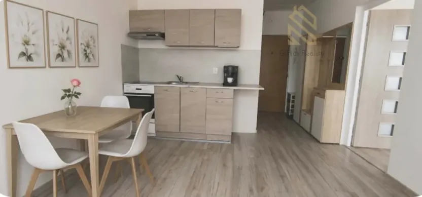 Pronájem bytu 1+1, Louny, Petra Obrovce, 35 m2