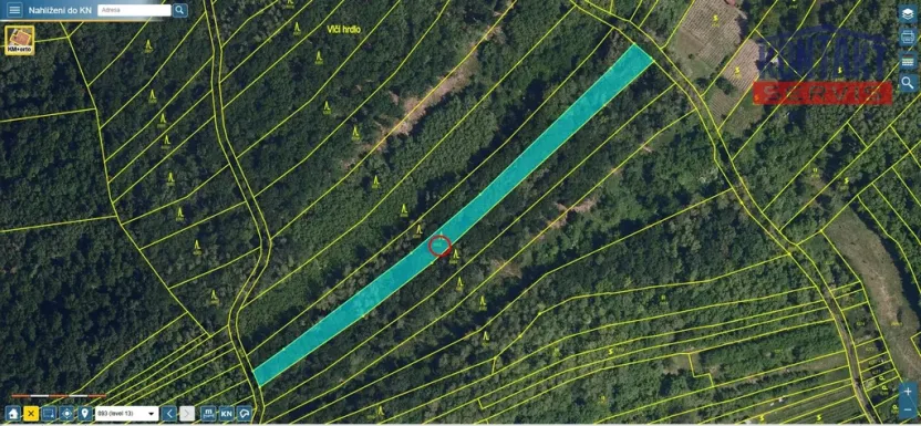 Prodej lesa, Kobylí, 2800 m2