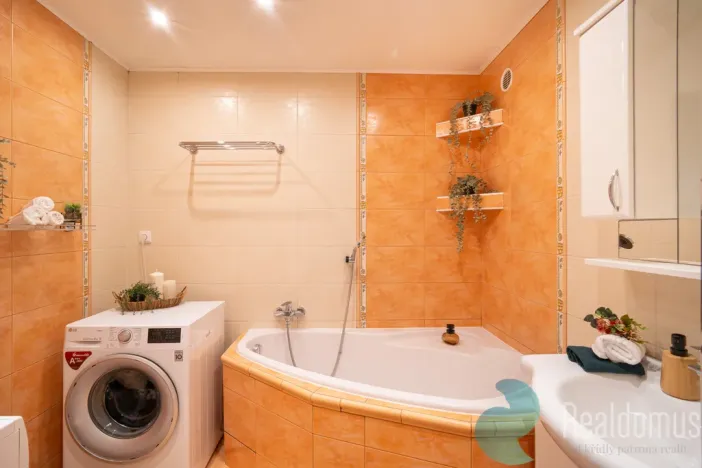 Prodej bytu 3+1, České Budějovice, Labská, 72 m2