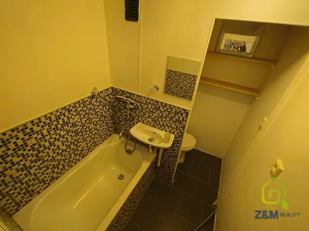 Pronájem bytu 1+kk, Chodov, Palackého, 20 m2