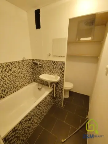 Pronájem bytu 1+kk, Chodov, Palackého, 20 m2