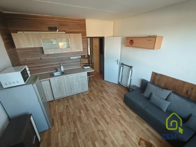 Pronájem bytu 1+kk, Chodov, Palackého, 20 m2