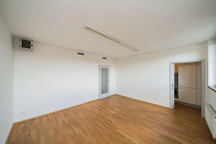 Pronájem bytu 5+1, Praha - Smíchov, Štefánikova, 168 m2