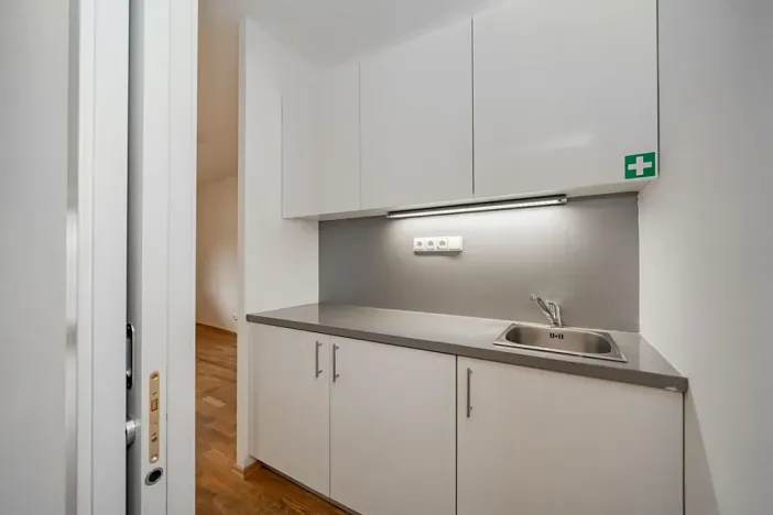 Pronájem bytu 5+1, Praha - Smíchov, Štefánikova, 168 m2
