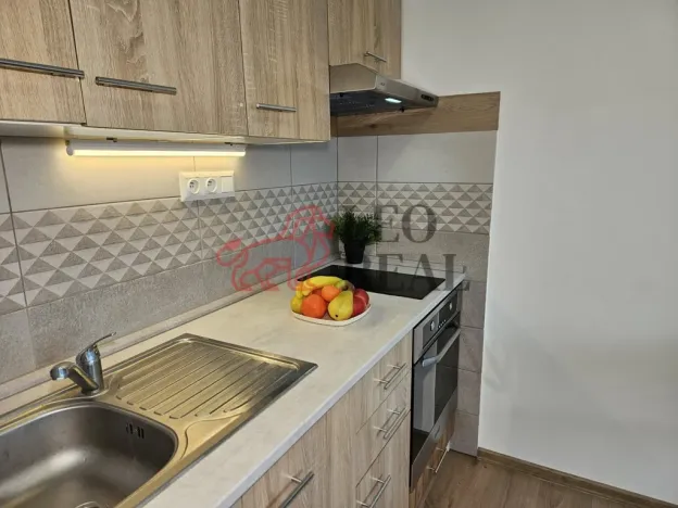 Pronájem bytu 1+kk, Nový Jičín - Loučka, Jičínská, 32 m2