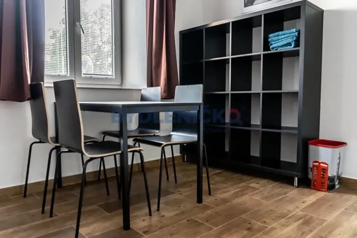 Pronájem bytu 1+kk, České Budějovice, Nová, 30 m2