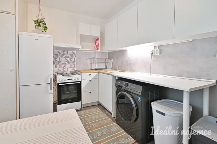 Pronájem bytu 1+1, Brno, Rerychova, 41 m2
