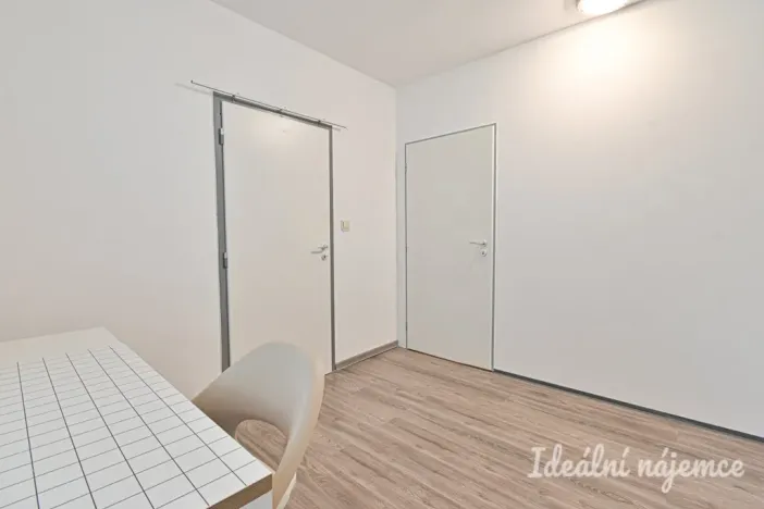 Pronájem bytu 1+1, Brno, Rerychova, 41 m2