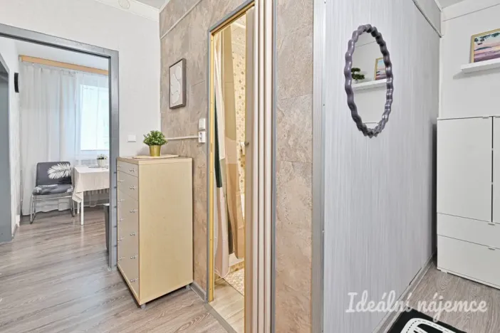 Pronájem bytu 1+1, Brno, Rerychova, 41 m2