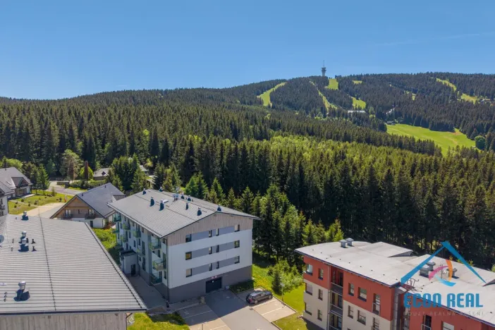Prodej bytu 1+kk, Loučná pod Klínovcem - Loučná, 37 m2