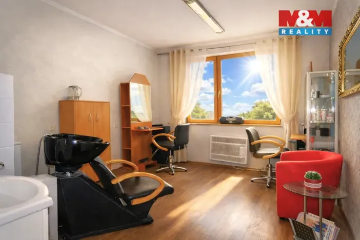 Pronájem obchodního prostoru, Ostrava - Mariánské Hory, 28. října, 25 m2