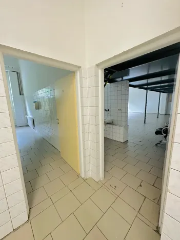Pronájem výrobních prostor, Chodová Planá, Kyjovská, 2497 m2