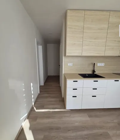 Pronájem bytu 1+1, Brno, Záhřebská, 36 m2