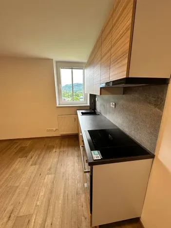 Pronájem bytu 2+1, Děčín, Škroupova, 67 m2