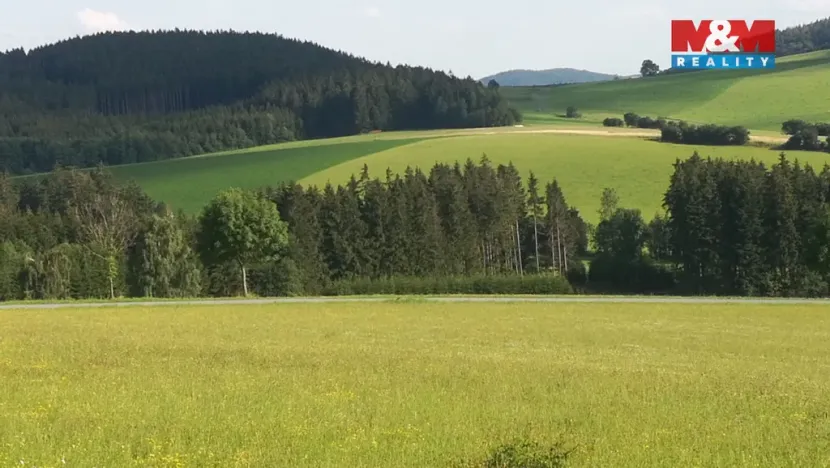 Prodej ubytování, Borušov - Svojanov, 1890 m2