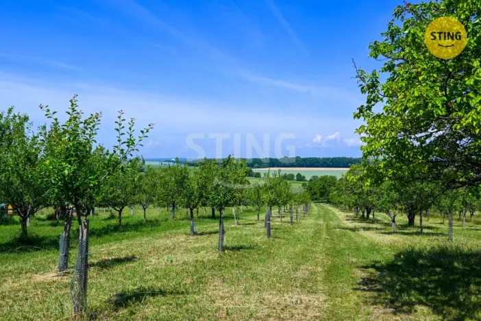 Prodej sadu/vinice, Strážnice, 4353 m2