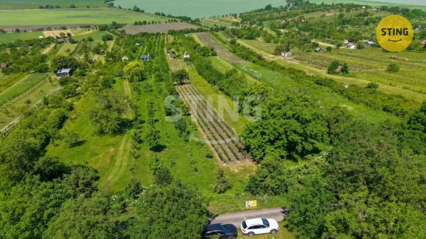 Prodej sadu/vinice, Strážnice, 4353 m2