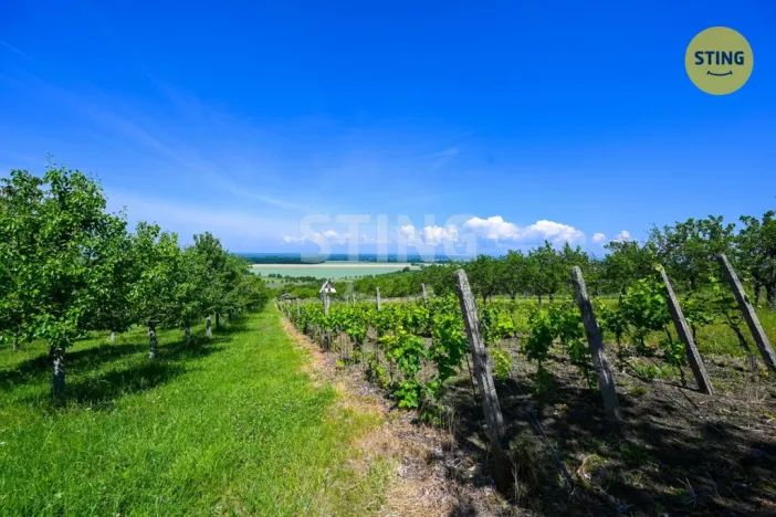 Prodej sadu/vinice, Strážnice, 4353 m2