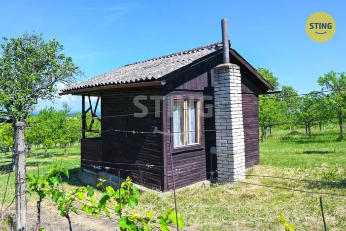 Prodej sadu/vinice, Strážnice, 4353 m2