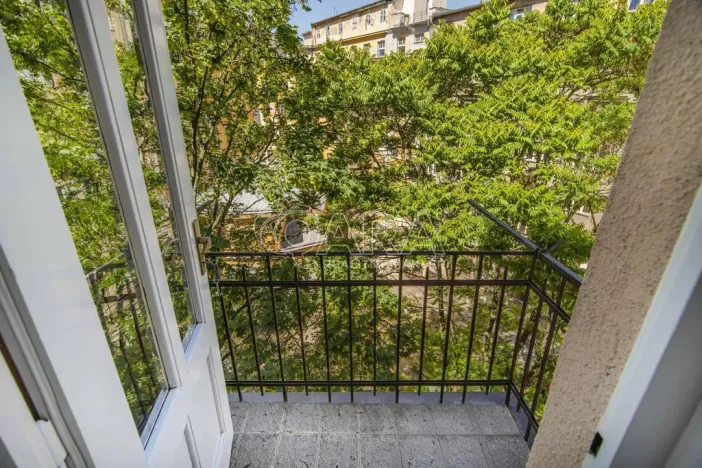 Prodej bytu 2+1, Praha - Žižkov, Škroupovo náměstí, 102 m2